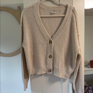 American Eagle Outfitters Beige Cardigan Sweater